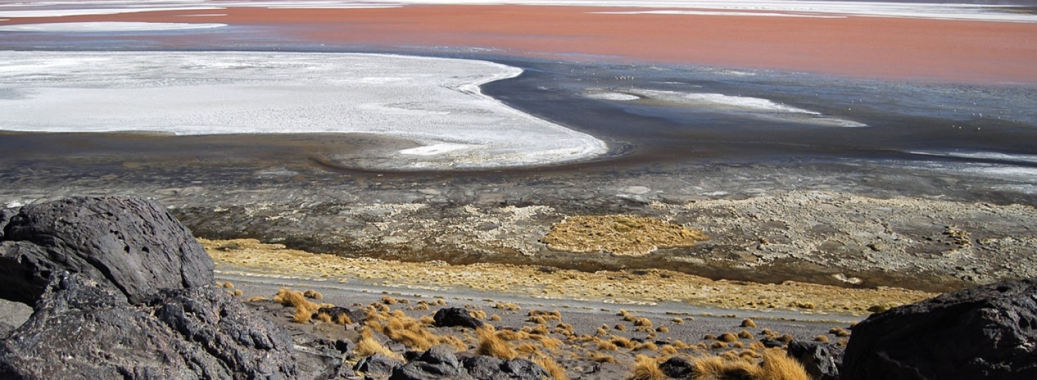 OB-UYU/7 2 days and 1 night Tour Red Lagoon - Uyuni Salt Flats