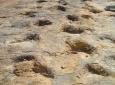Sucre  - Maragua - Huellas De Dinosaurio de Niñumayu