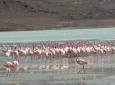 OB-UYU/9 3 days and 2 nights tour Uyuni Salt Flats - Color Lagoons - Devil's and Galaxies Cave returning to Uyuni *Transfer to San Pedro de Atacama (Optional)