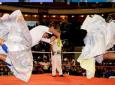 Lucha Libre Cholitas Peleadoras (Domingos y jueves)