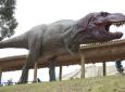 Parque Cretácico, Huellas de Dinosaurios Cal Orck'o