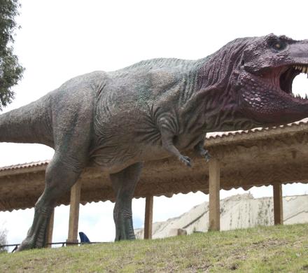 Full Day Cretaceous Park Cal Orck’o and City Tour