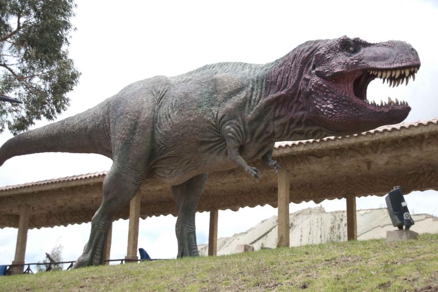 Full Day Cretaceous Park Cal Orck’o and City Tour
