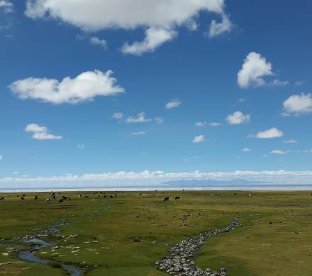 Tours en Uyuni